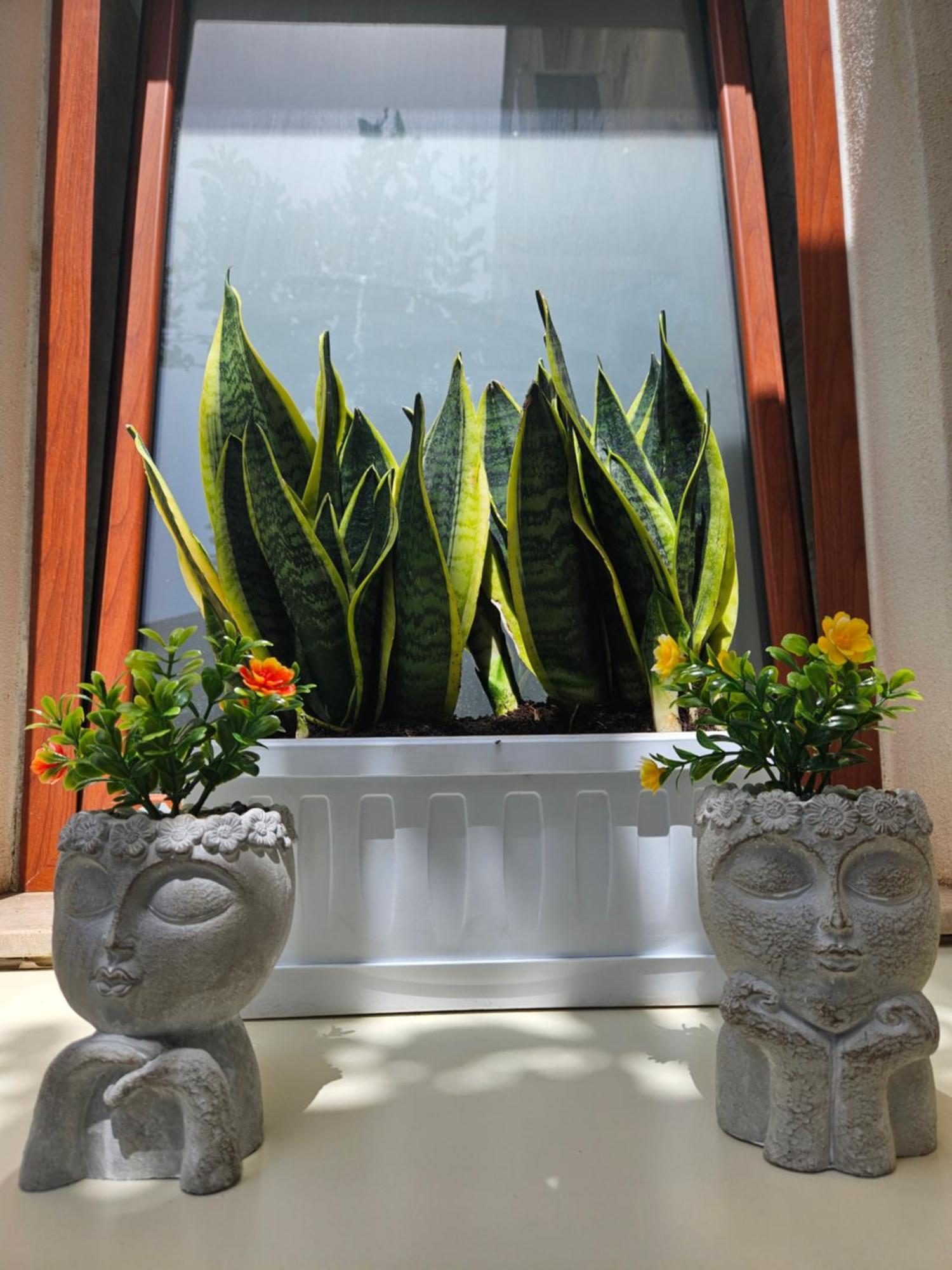 Guru House B&B Apartments Milazzo Kültér fotó